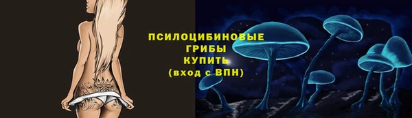 винт Мегион