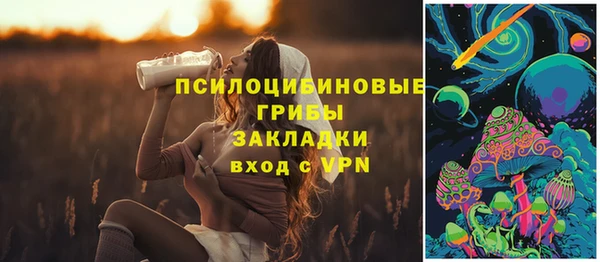 винт Мегион