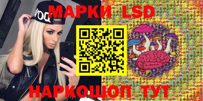 СК Кудрово