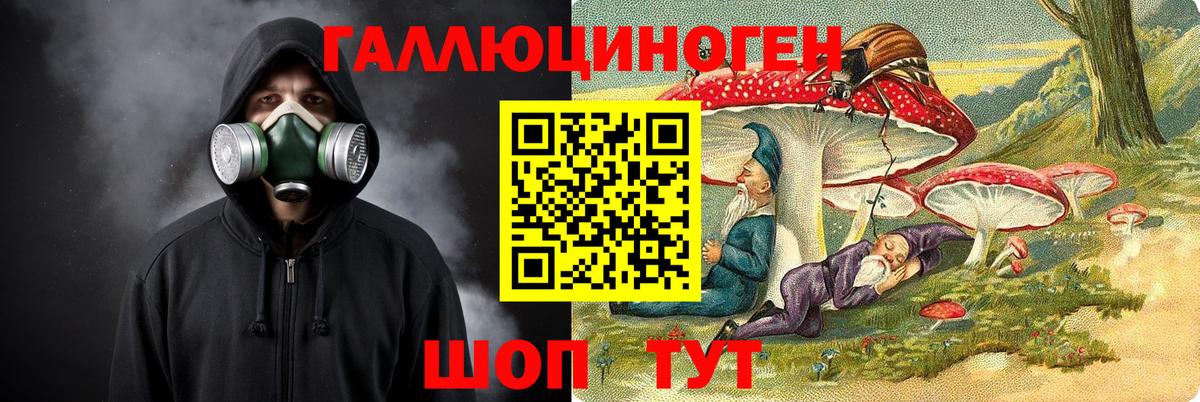 Стерлитамак  Галлюциногенные грибы MAGIC MUSHROOMS  Вход с VPN  где найти   Псилоцибиновые грибы GOLDEN TEACHER 